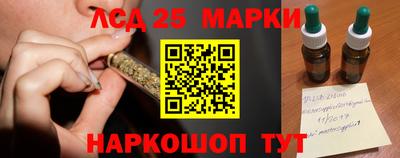 apvp Гусев
