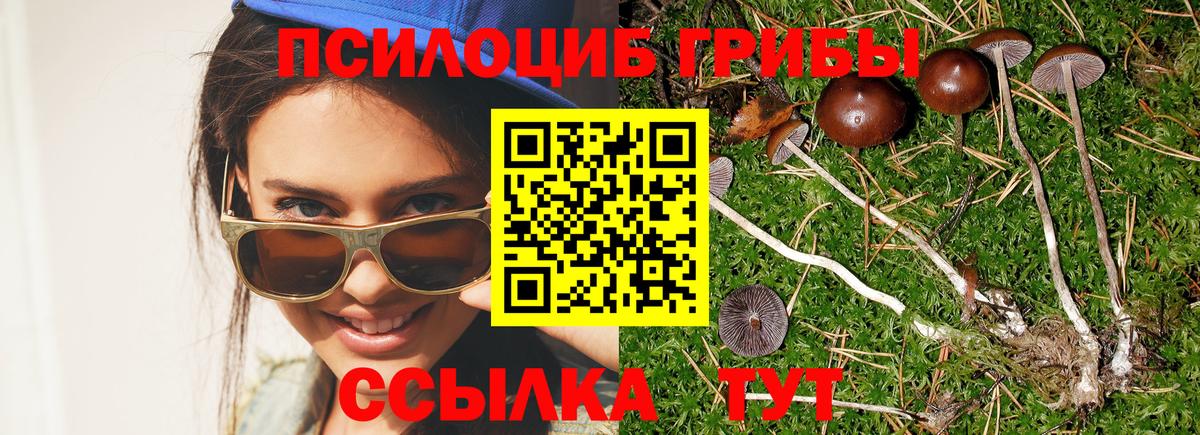 Псилоцибиновые грибы GOLDEN TEACHER Нефтекумск