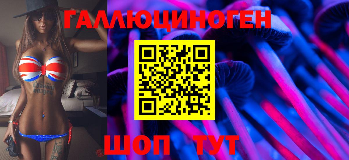 Нефтекумск  Галлюциногенные грибы мицелий  Вход с VPN 